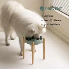 Havniva anti-slip ceramic base keeps the bowl steady during feeding