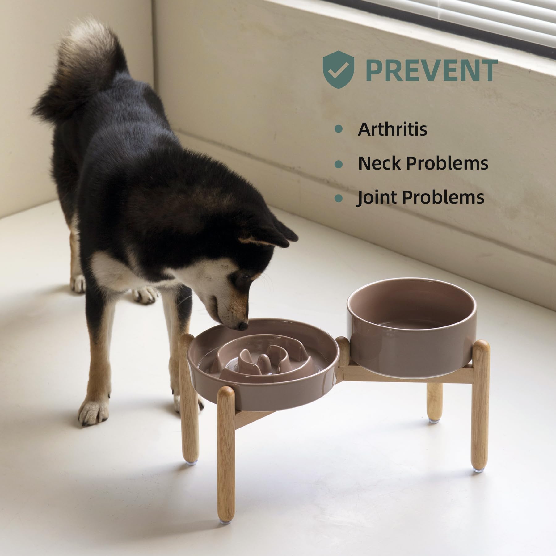 Havniva anti-slip ceramic base prevents sliding while eating.