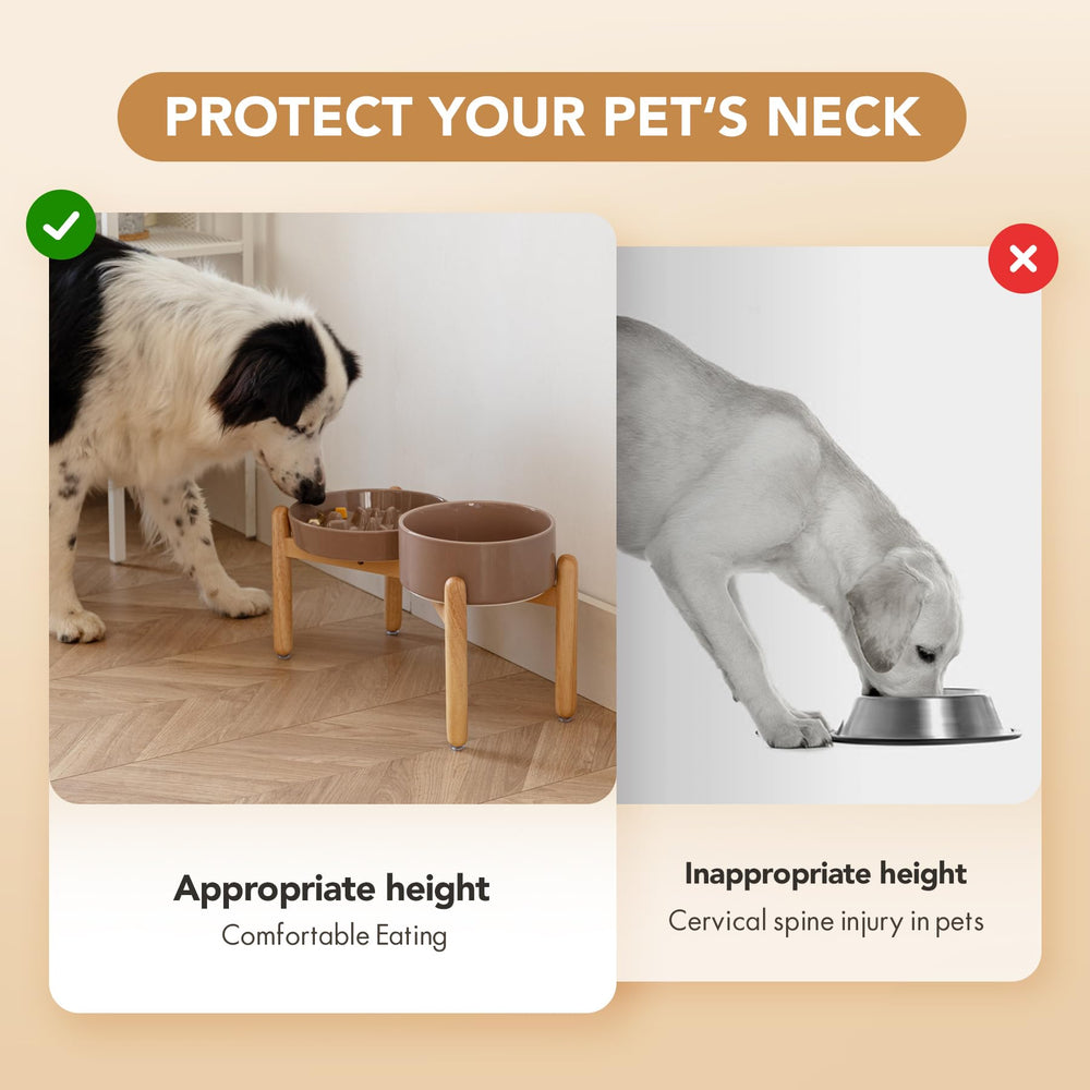 Havniva brown-coffee stand dining setup suits daily dog meals.