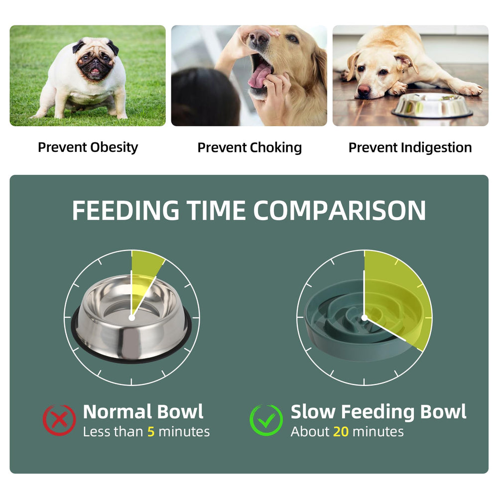Havniva ceramic bowl is lead-free, non-toxic, and durable for daily use
