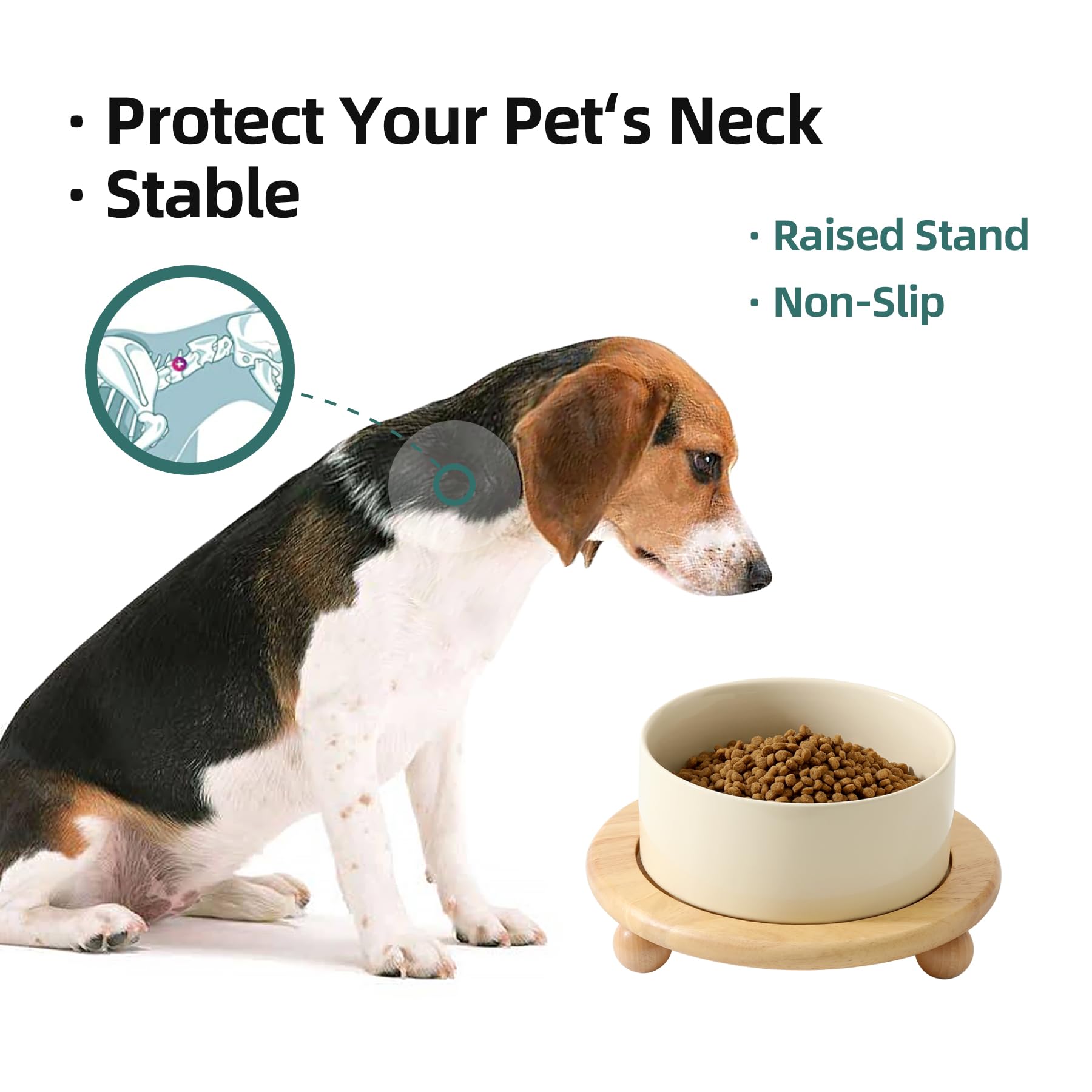 Havniva ceramic dish supports wet or dry food in one bowl.