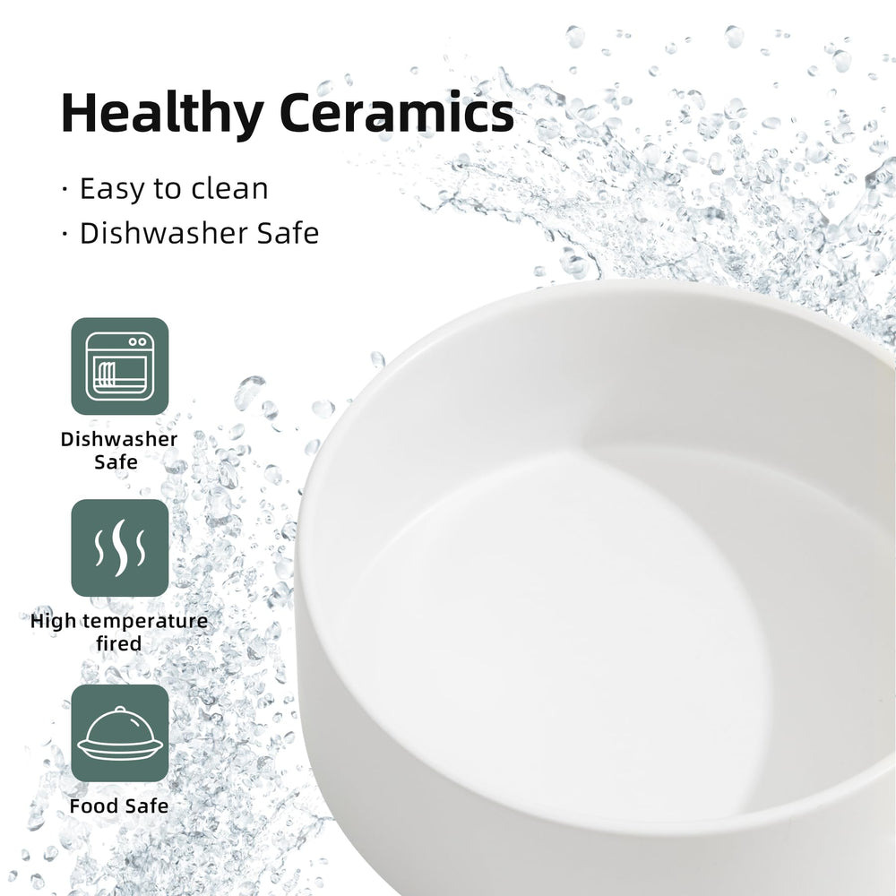 Havniva ceramic dog bowl packaging showcases ready-to-use design for pet households.