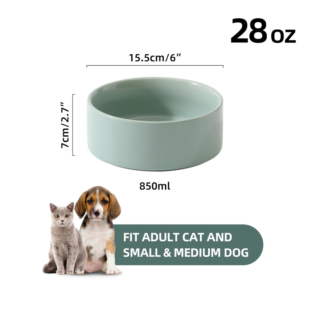 Havniva 6-inch light-green bowls for small to medium dogs during meals.