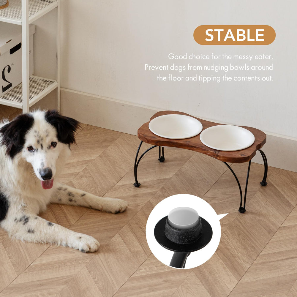 Havniva ceramic raised double-bowl non-slip stand on floor emphasizes secure posture.