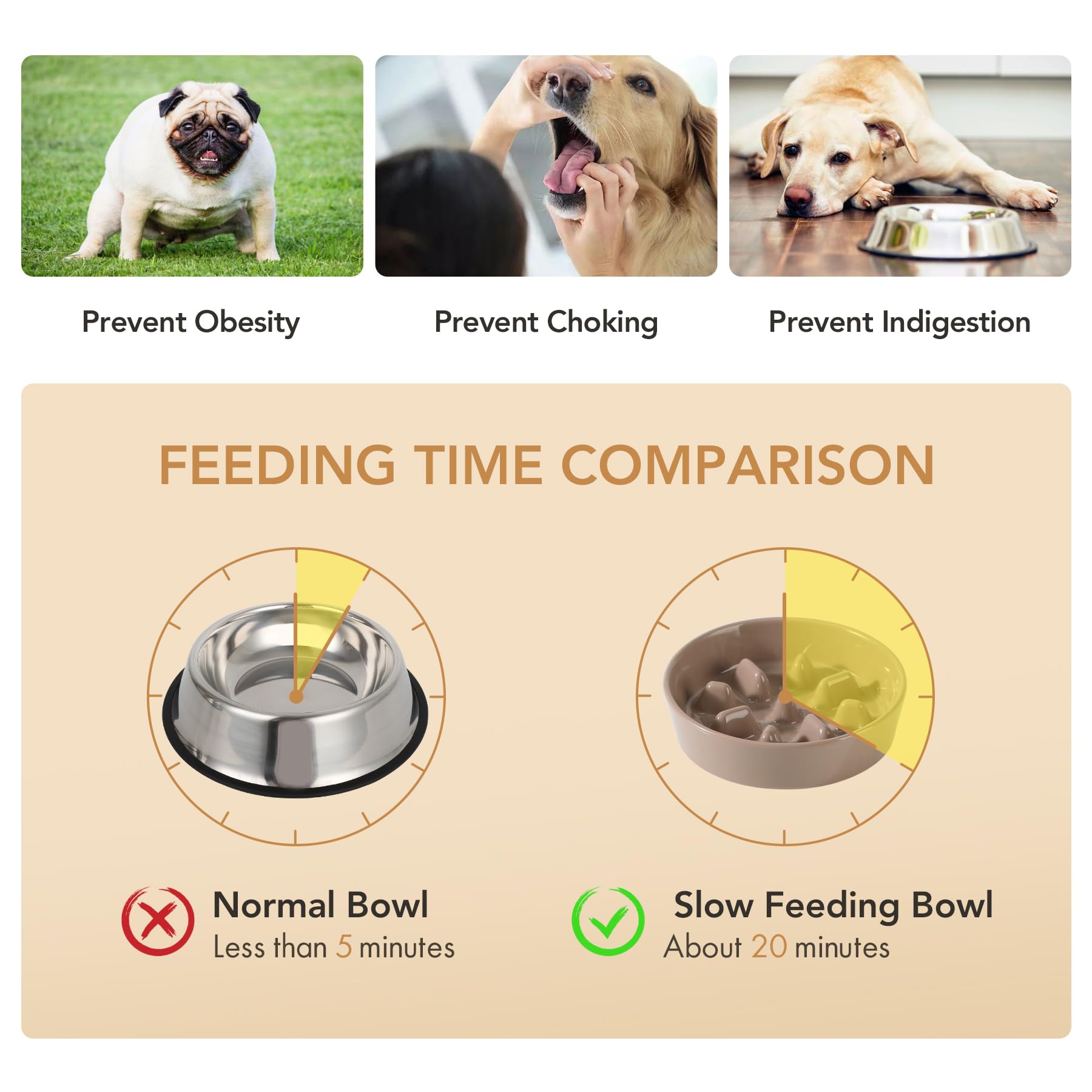 Havniva ceramic slow feeder 1.2-cup size fits small and medium dogs.