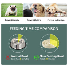 Havniva ceramic slow feeder bowl smooth surface for easy cleaning after meals