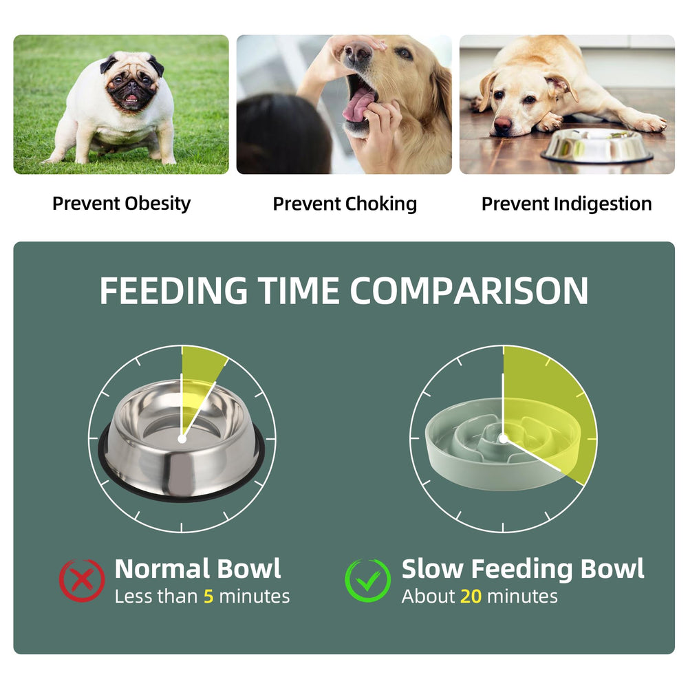 Havniva ceramic slow feeder bowl ridges create a puzzle feeding challenge