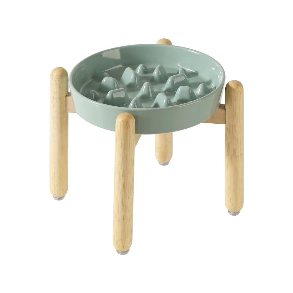 Havniva ceramic slow-feeder bowl reduces fast eating for dogs.