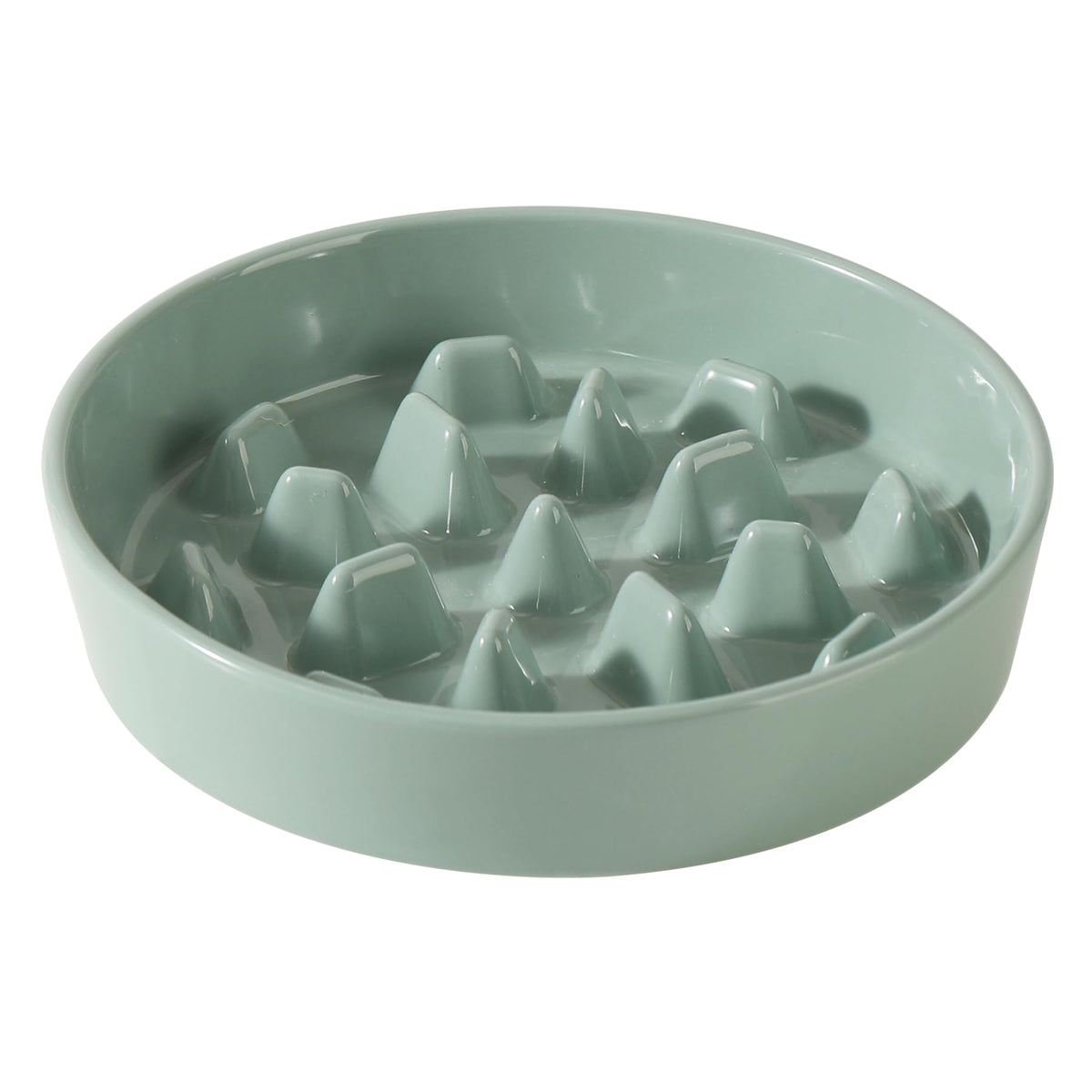 Havniva ceramic slow-feeder dog bowl with ridges to slow eating.