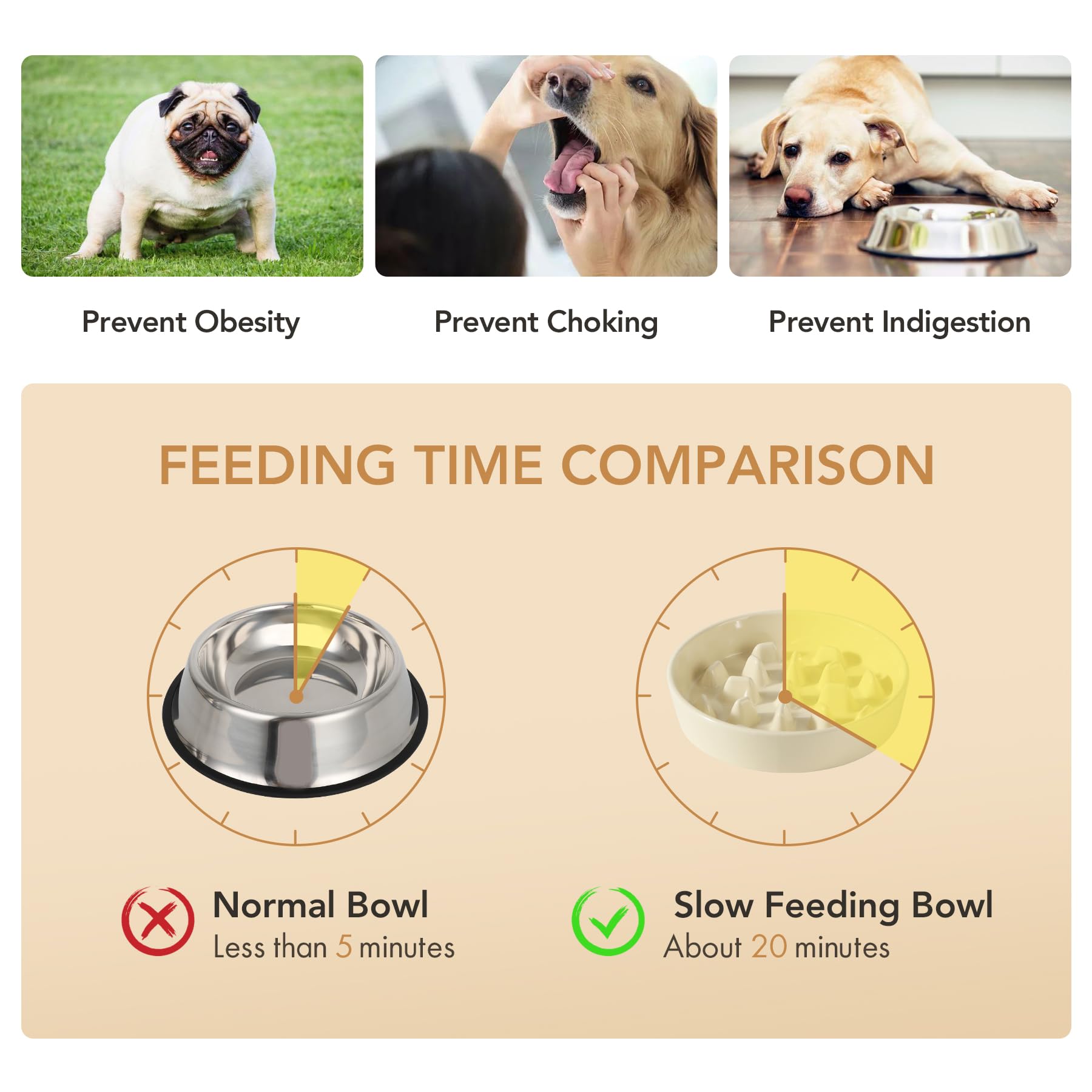 Havniva easy-clean ceramic surface is dishwasher-safe for quick cleanup.