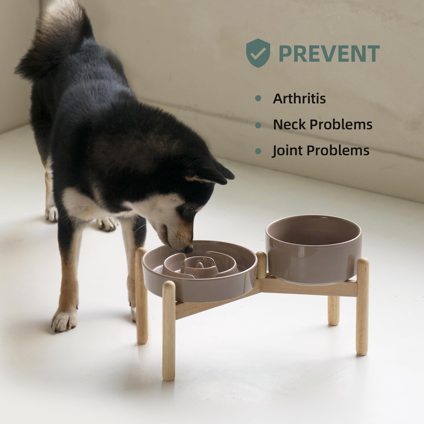 Havniva anti-slip ceramic-bowl base keeps the bowl steady during feeding sessions.