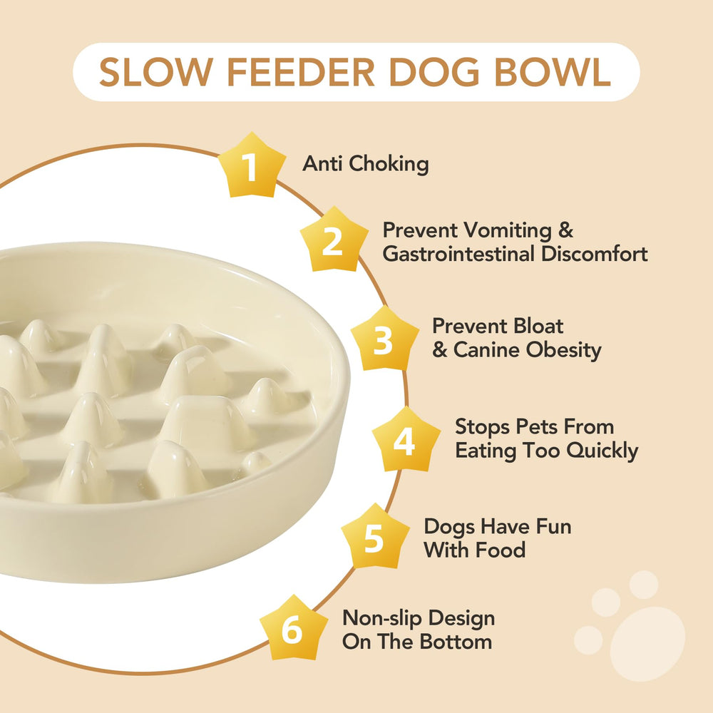 Havniva dishwasher-safe ceramic bowl easy cleaning and more time with pets