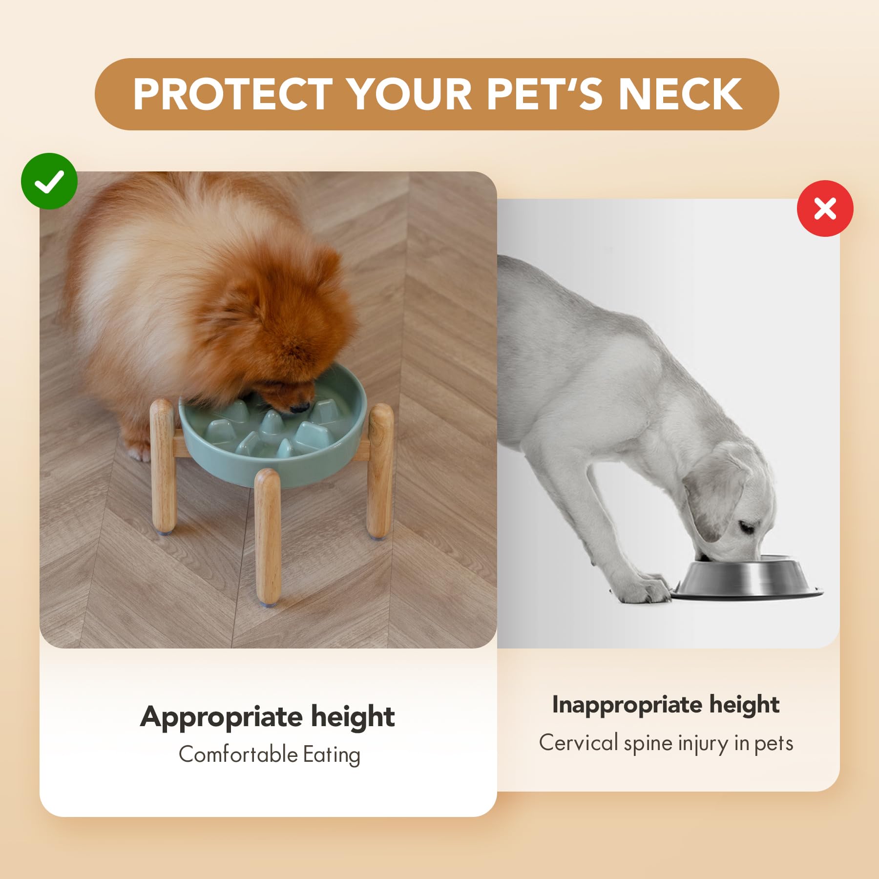 Havniva dog posture support stand aids proper feeding posture for mealtimes.