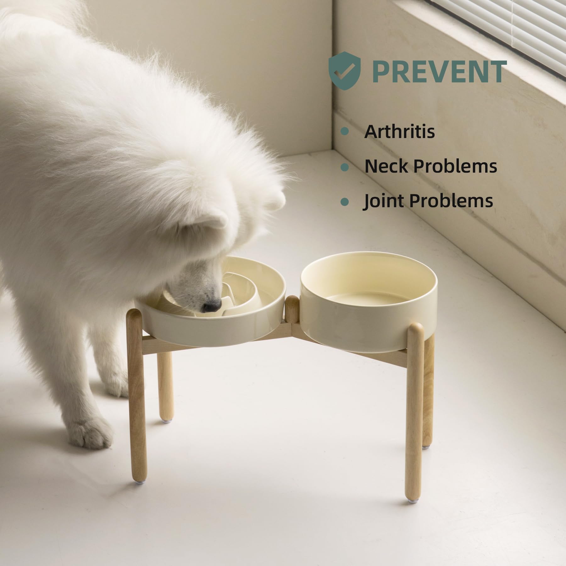 Havniva dual-bowl set supports two meals without mingling.