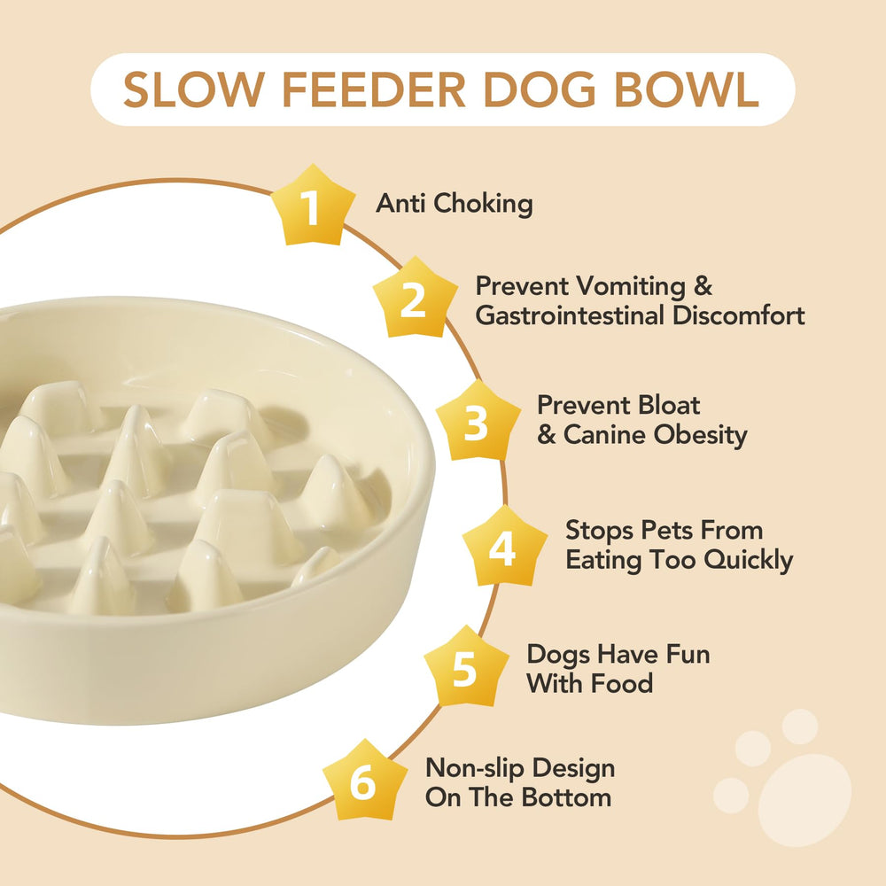 Havniva easy-clean ceramic bowls simplify post-meal washing.