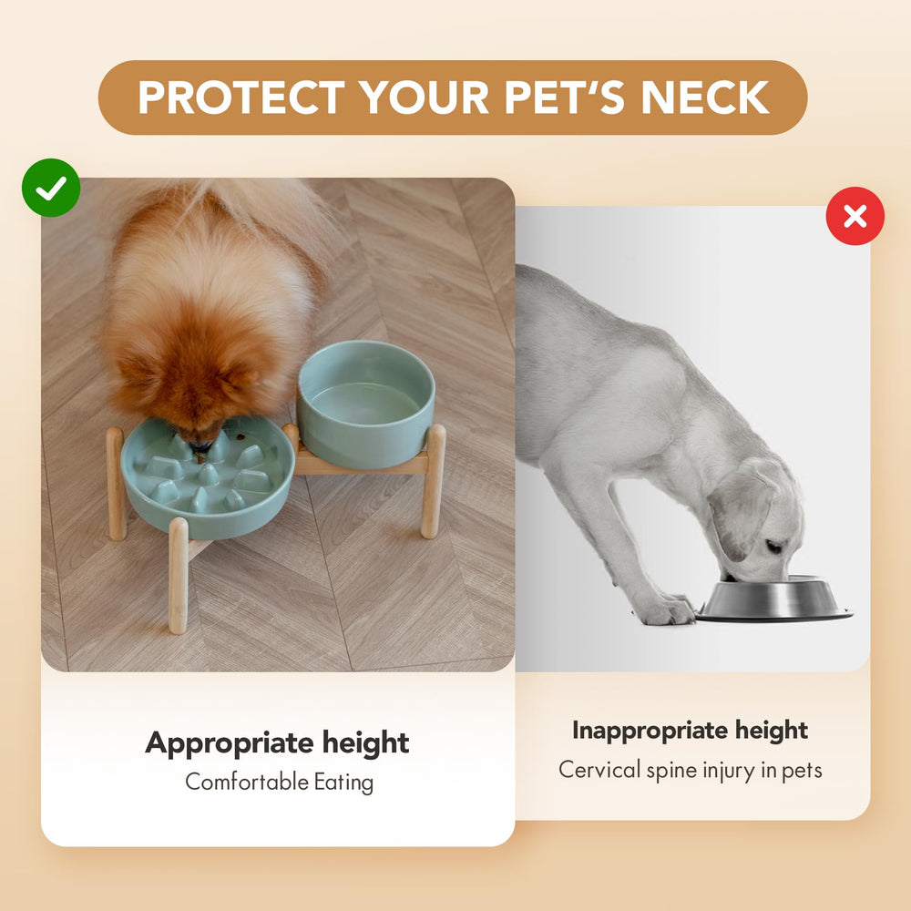 Havniva ceramic surface cleans easily for quick post-meal cleanup.