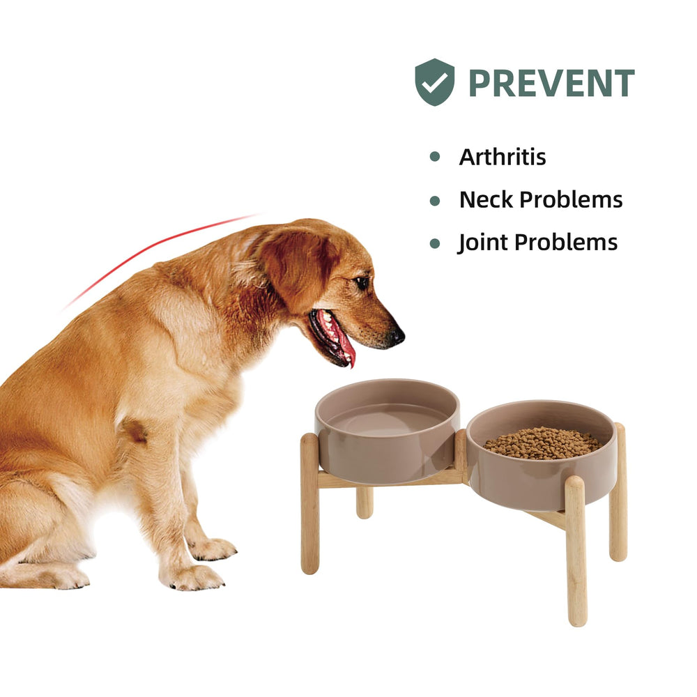 Havniva easy-clean dishwasher-safe dog feeder for quick cleanup