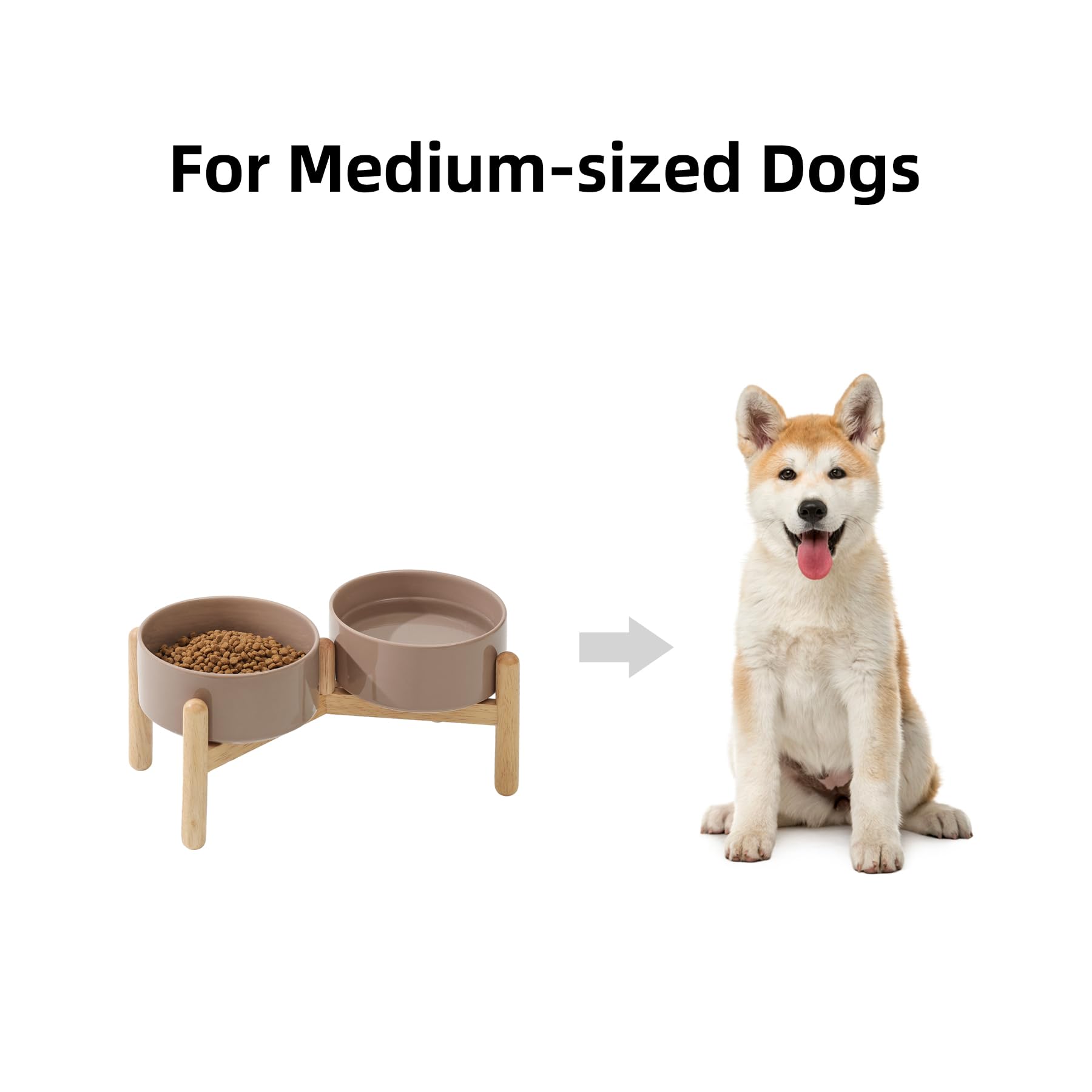 Havniva elevated feeder supports comfortable access for growing small to medium dogs.