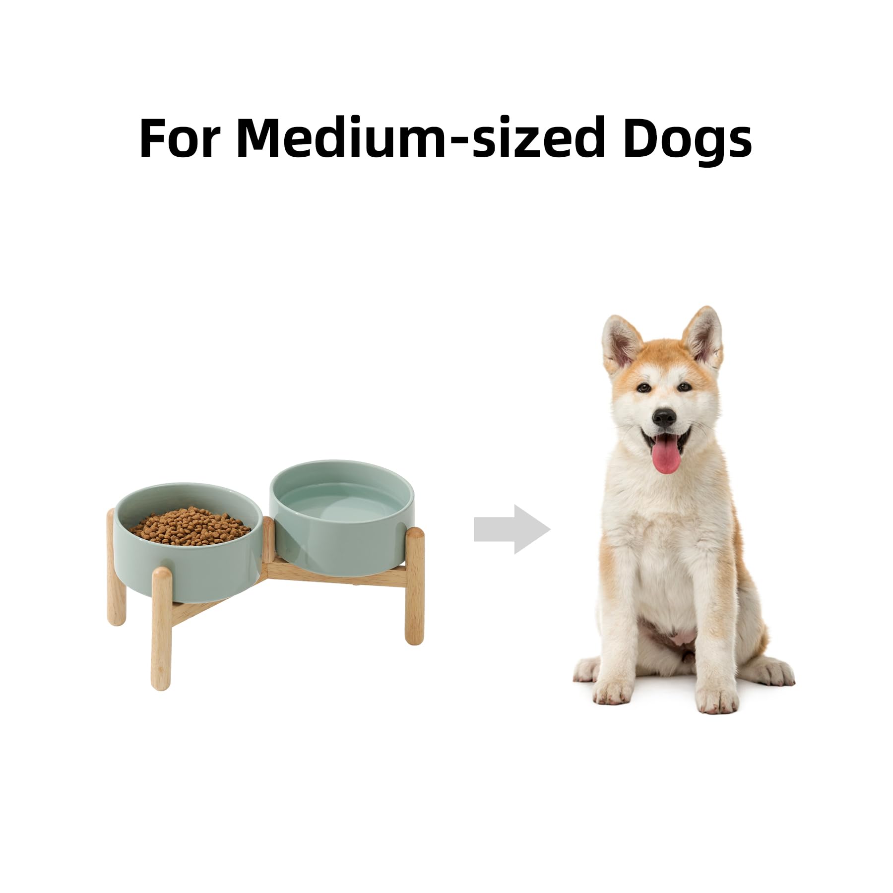 Havniva elevated feeding setup for daily dog meals