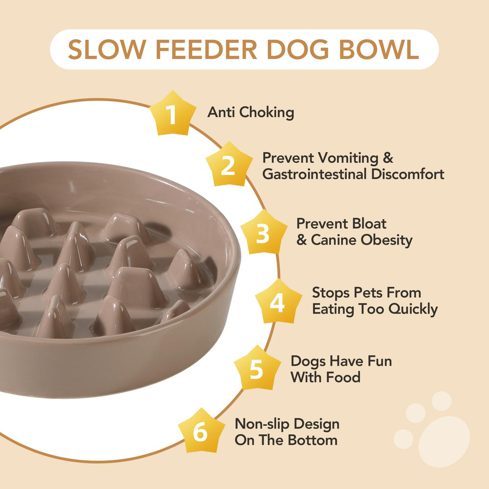 Havniva elevated feeder setup demonstrates easy access for large dogs.