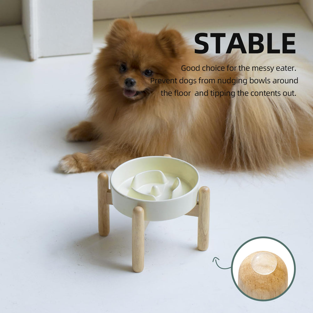 Havniva elevated feeder supports proper posture and reduces neck strain