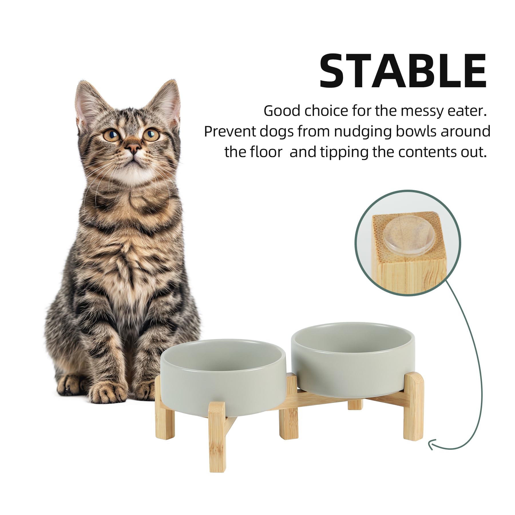 Havniva ergonomic design supports comfortable mealtimes for pets.
