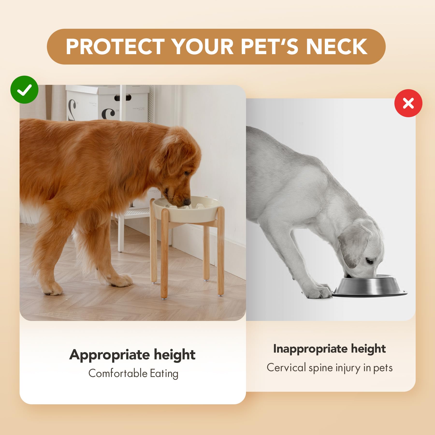Havniva healthy-posture dog-eating supports comfortable feeding posture.