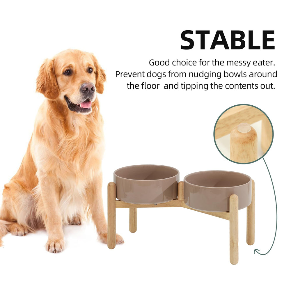 Havniva large-dog dining solution designed for growth stages