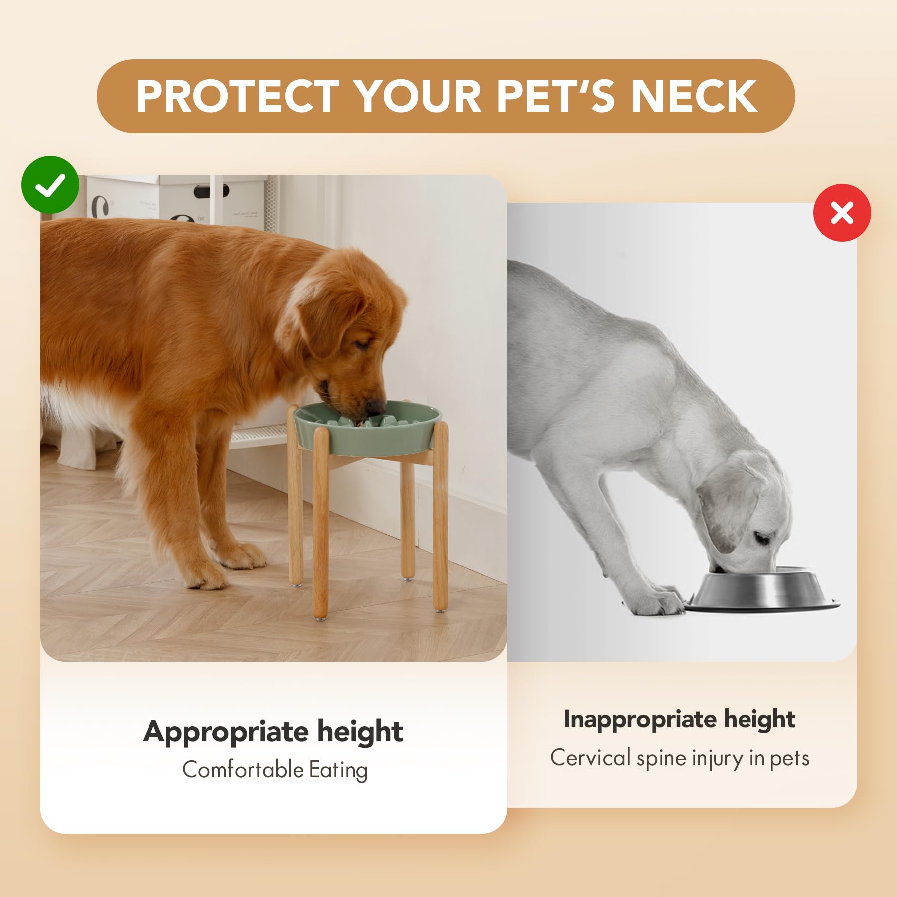 Havniva large-dog feeding solution combines durability and convenience