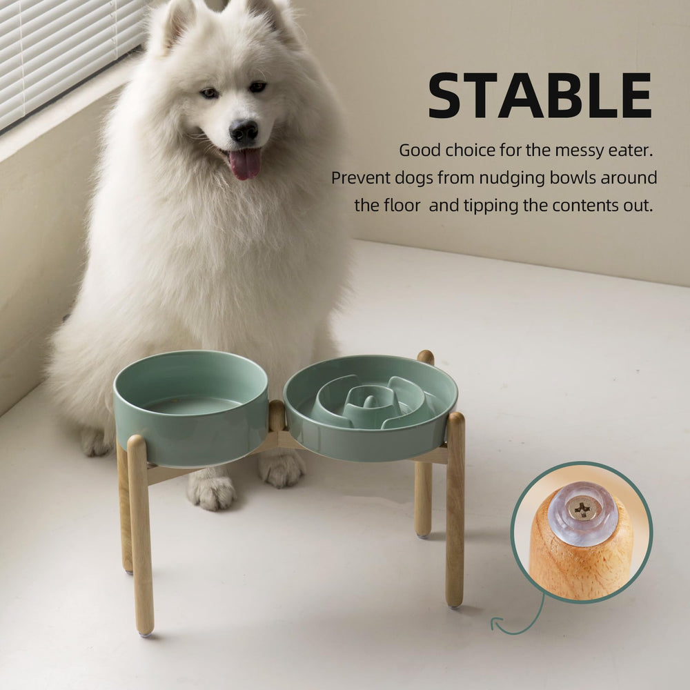 Havniva large-dog meal setup on wooden stand for comfortable dining.