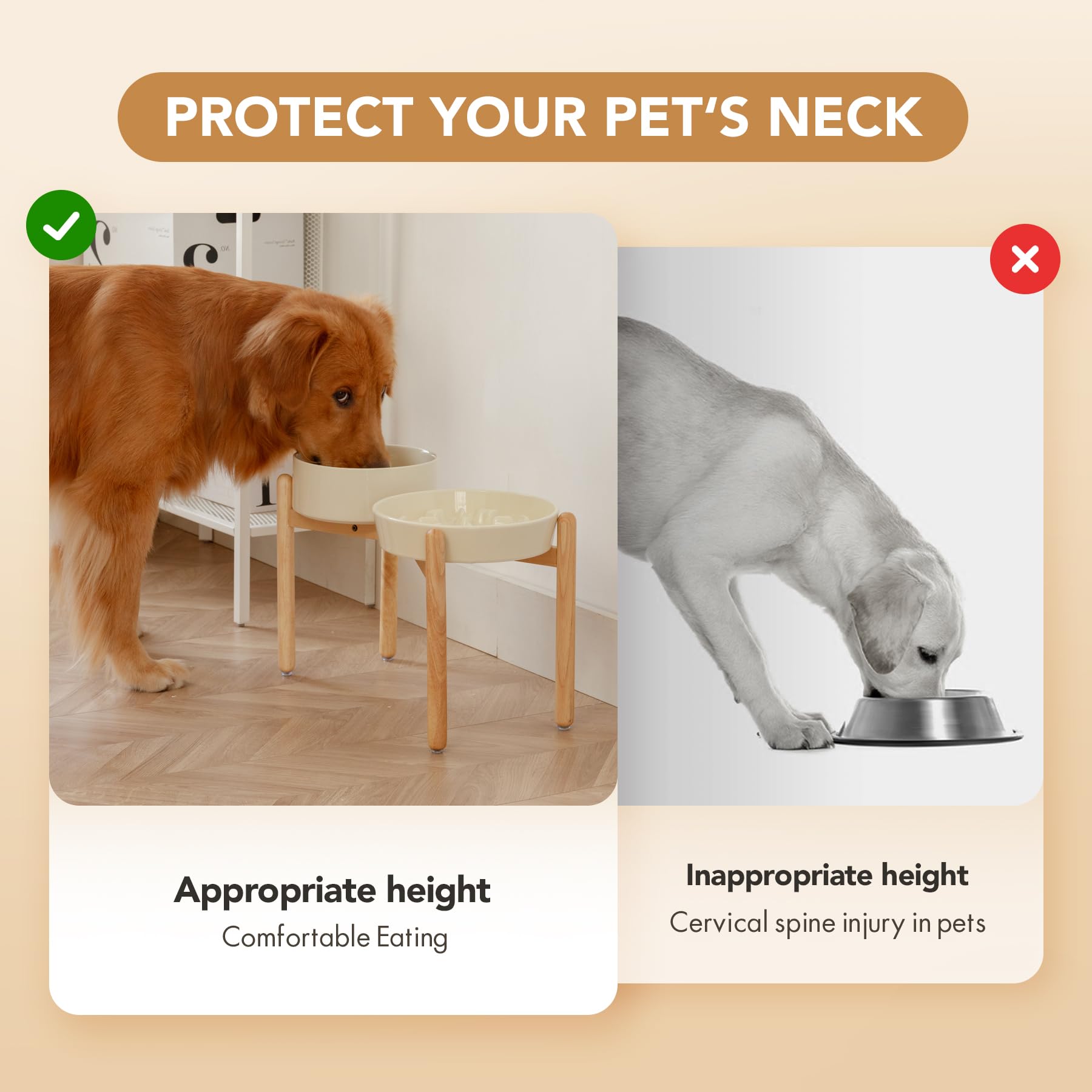 Havniva large-dog eating routine benefits from raised slow-feeder design.