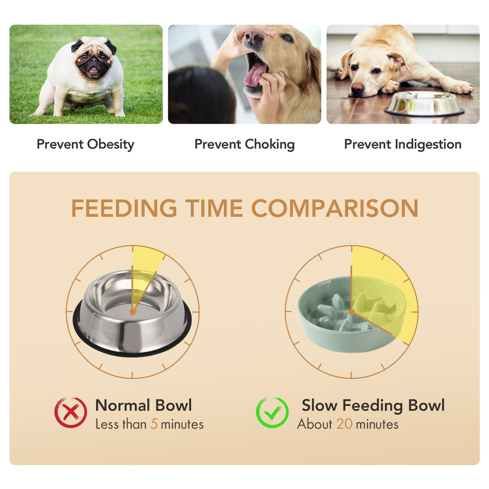 Havniva lead-free ceramic material ensures safe, durable pet dining.