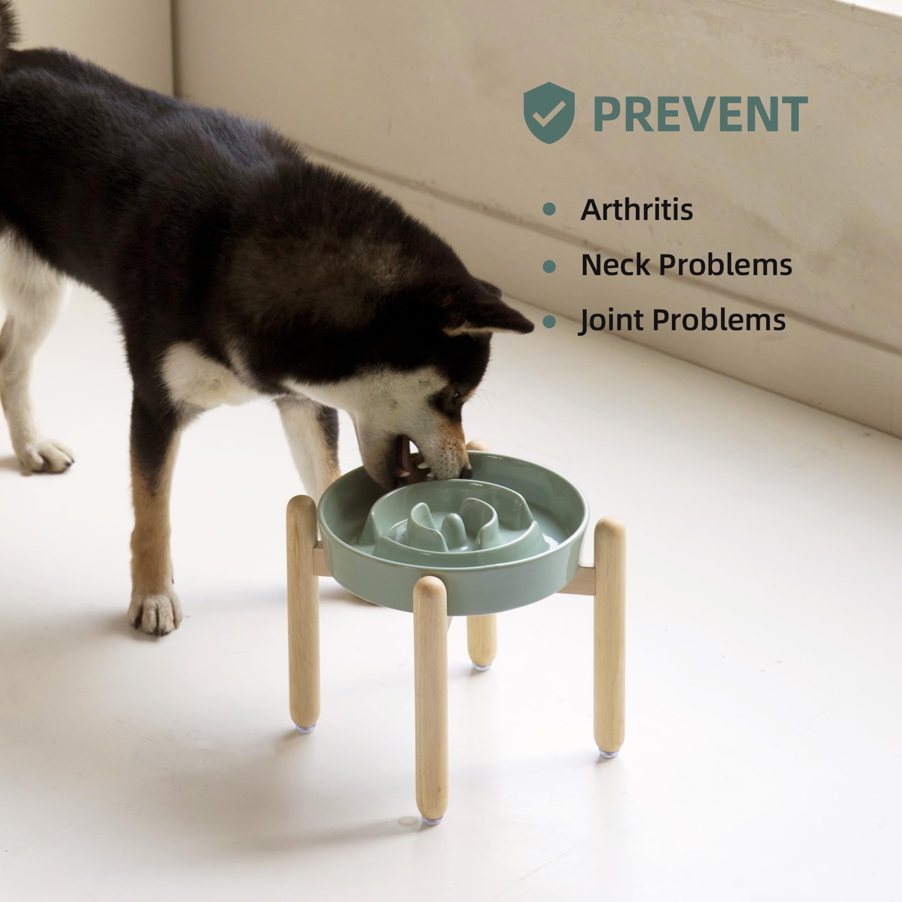 Havniva lead-free ceramic material ensures safe durable feeding