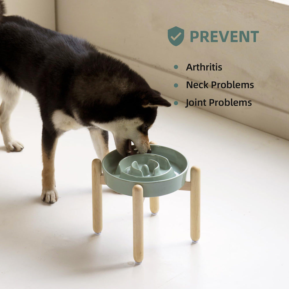 Havniva lead-free ceramic material ensures safe durable feeding