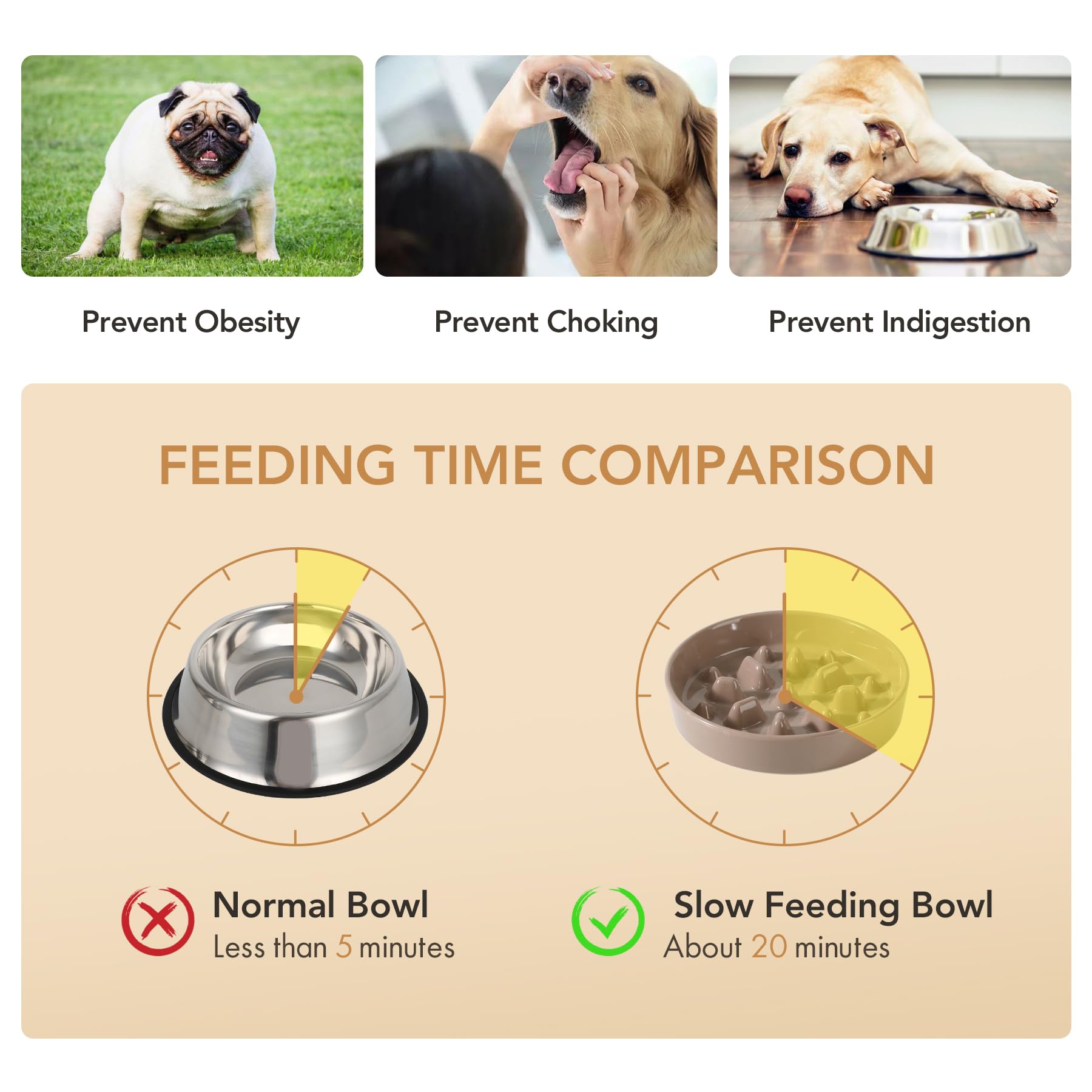 Havniva lead-free ceramic is durable and safe for everyday use.