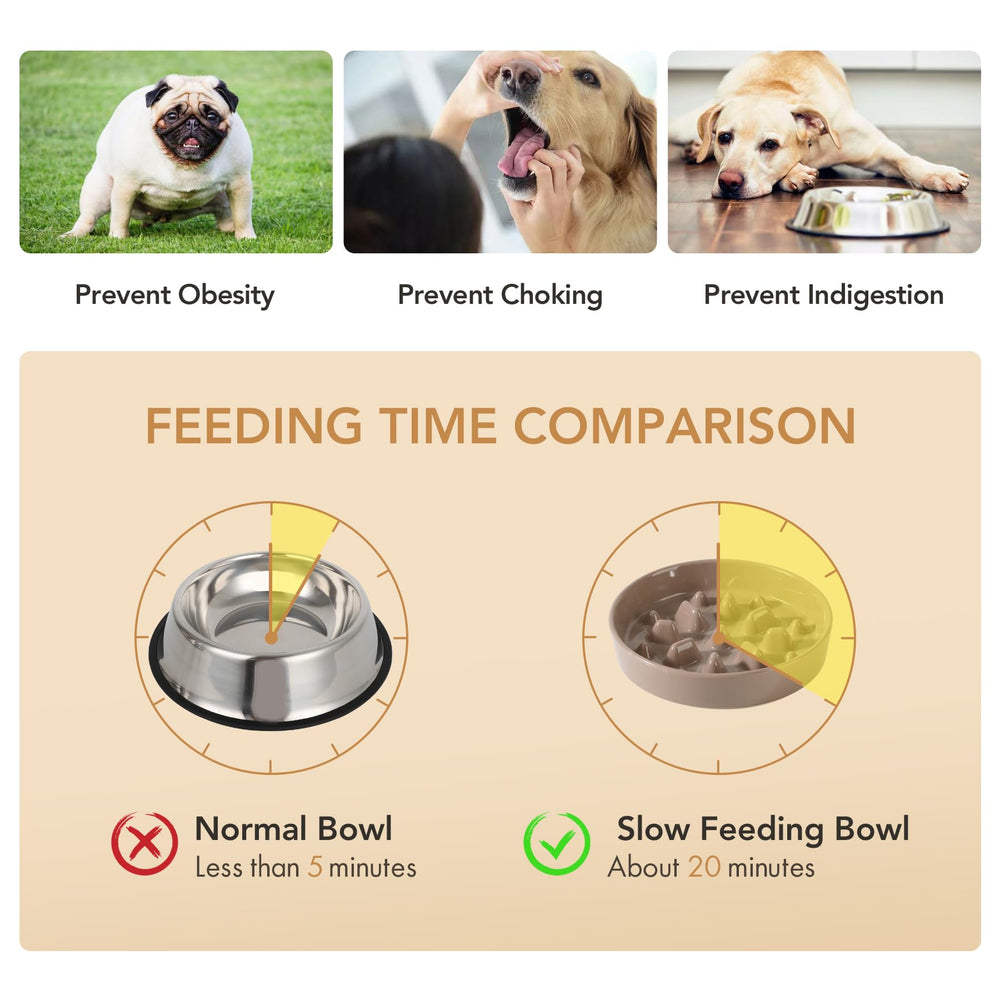 Havniva lead-free ceramic is durable and safe for everyday use.