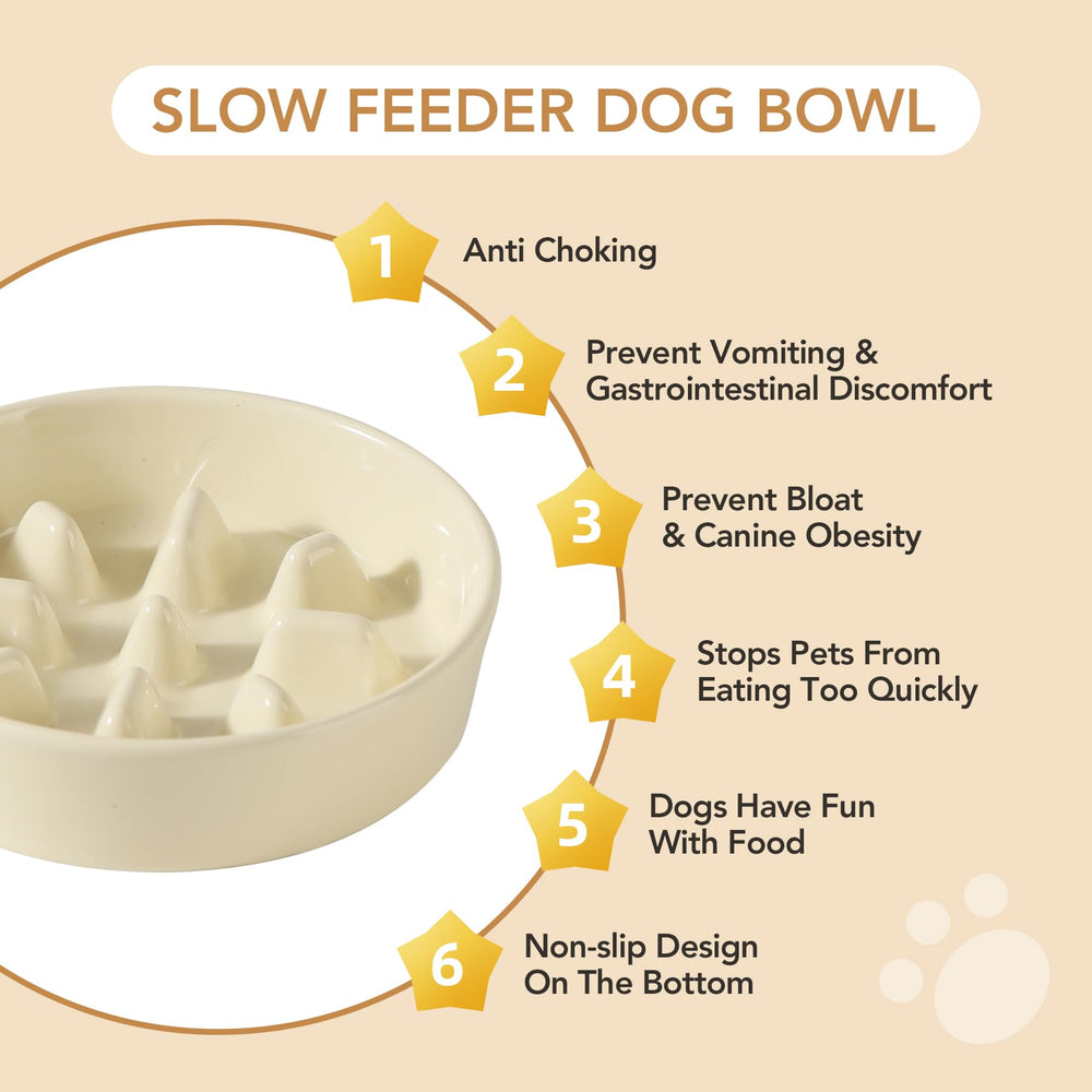 Havniva lead-free-non-toxic-ceramics offer safe, durable dining for pets
