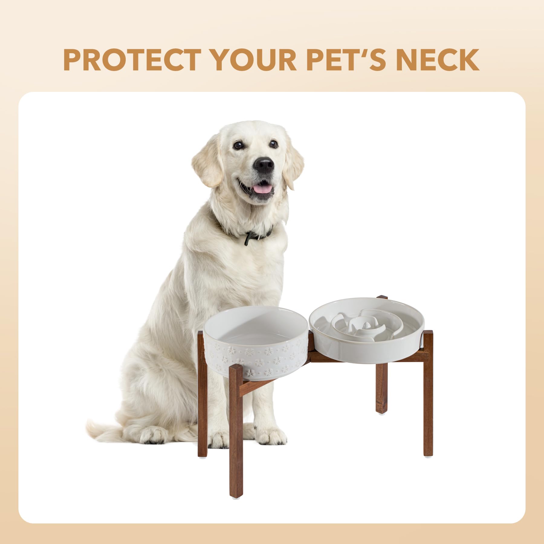 Havniva lifestyle setup shows elevated dining during mealtime with pets.