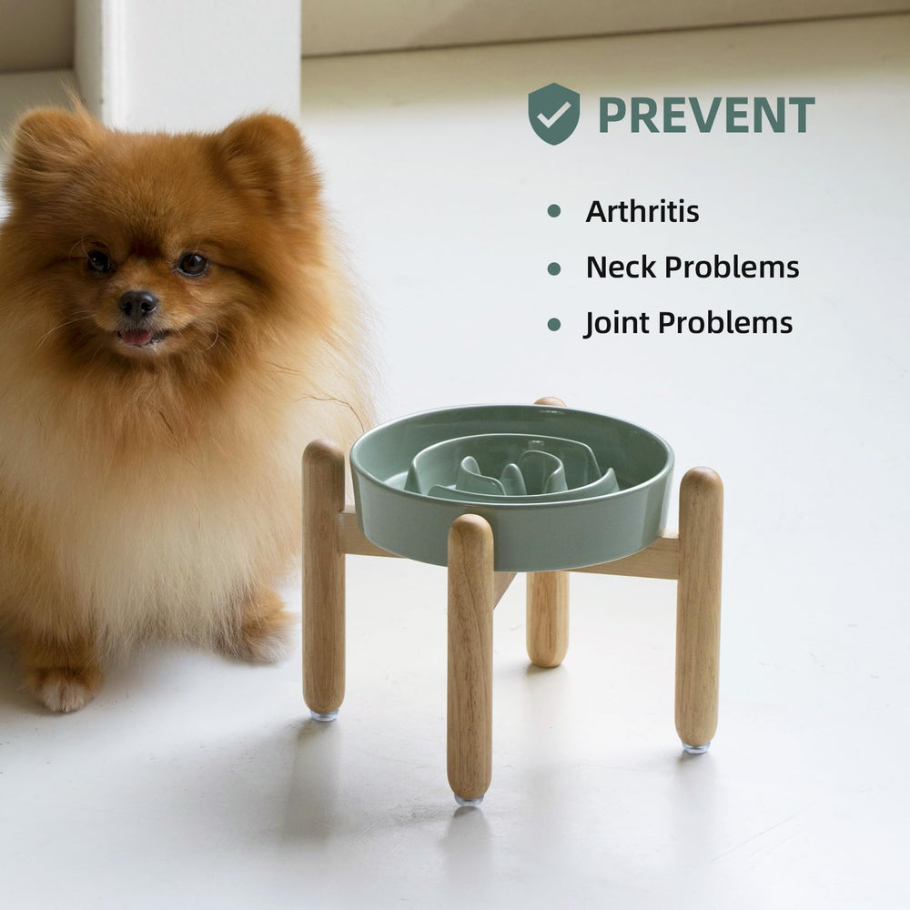 Havniva light green ceramic bowl uses lead-free materials for safe meals