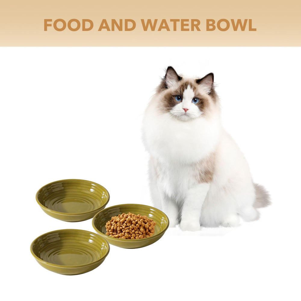 Havniva matcha green cat bowls showcased with easy-clean ceramic surface.