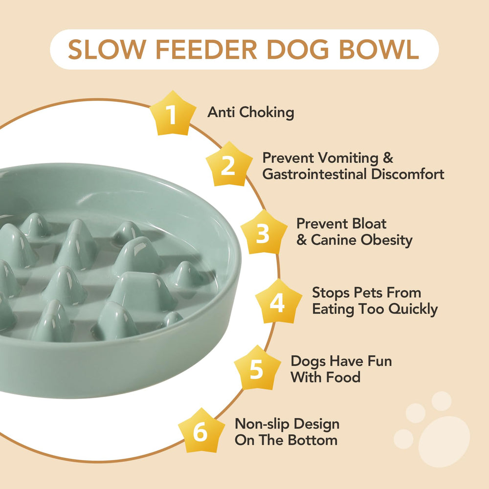 Havniva medium-large dog feeding setup fits bigger breeds.