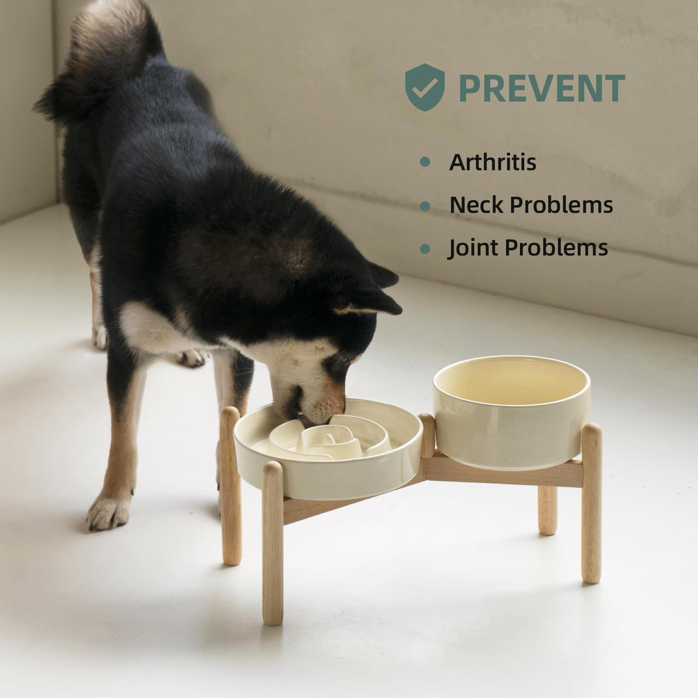 Havniva two-beige stand set suits multi-pet homes.