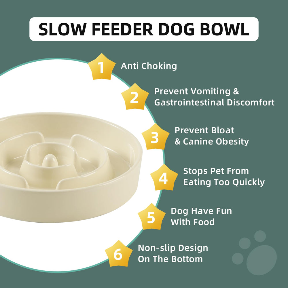 Havniva slow feeder designed for large dogs to reduce mess and encourage calmer dining