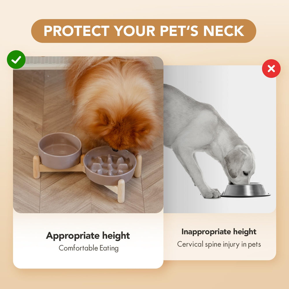 Havniva small dog and cat elevated dining set for calm meals