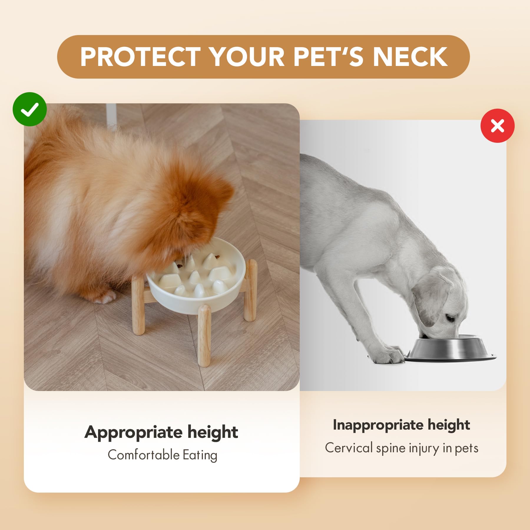 Havniva small dog mealtime setup on wooden stand