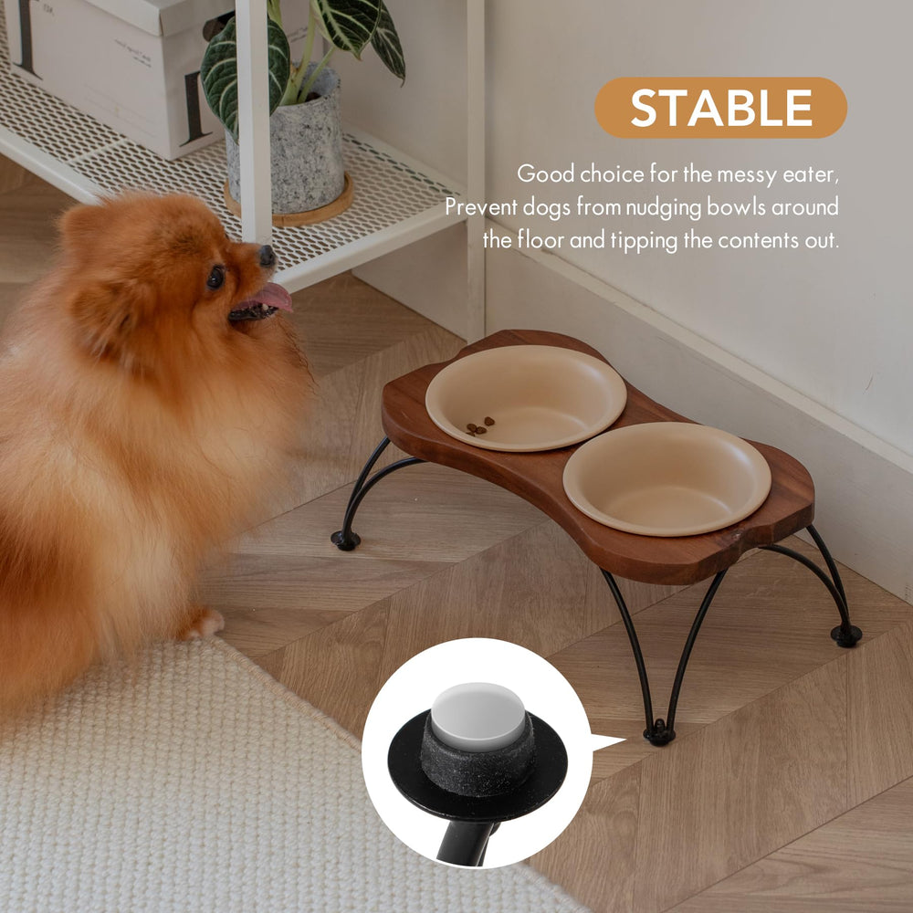 Havniva small-dog feeding dish highlights comfortable, low-stress mealtimes.