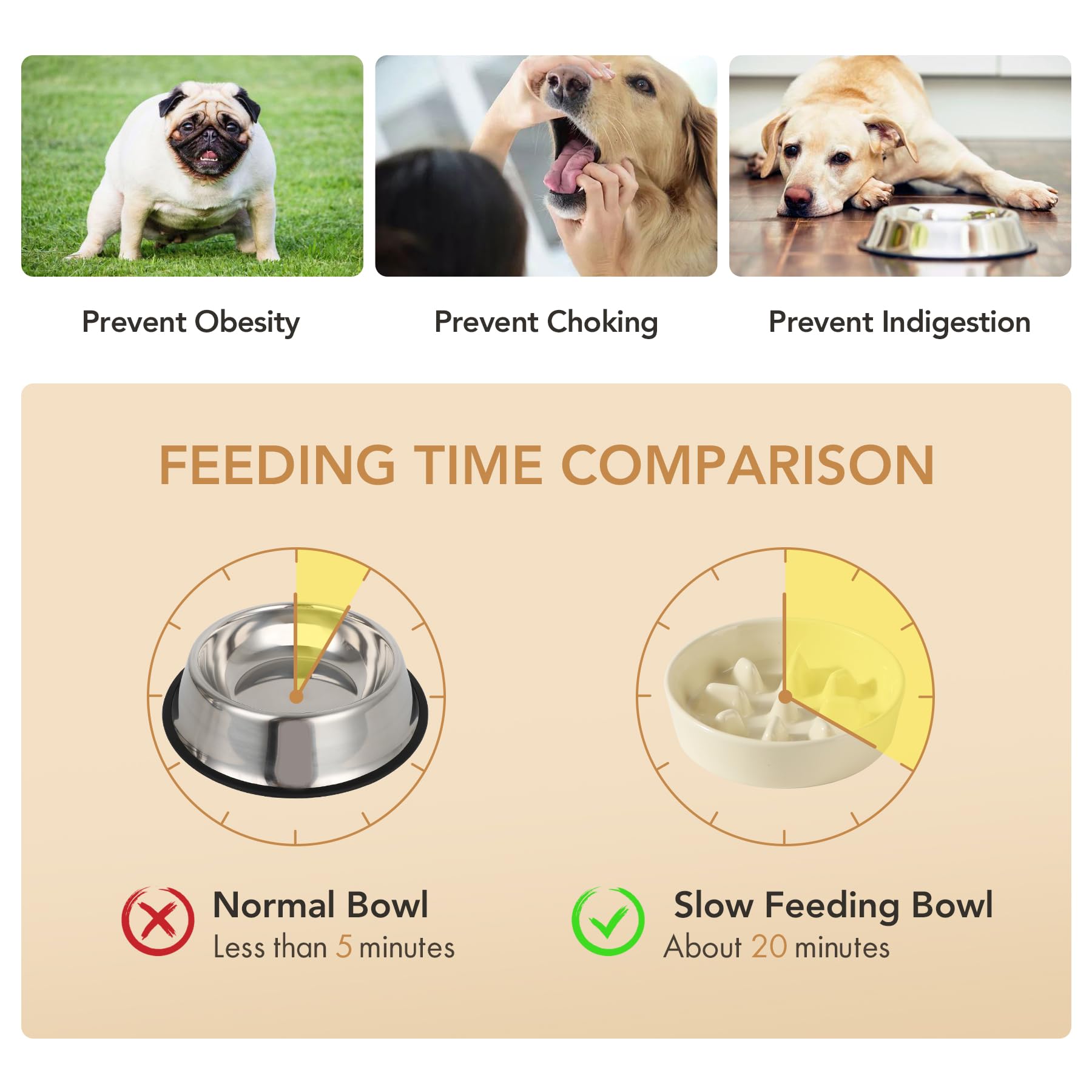 Havniva stable-anti-slip-dish-base keeps the bowl from sliding during enthusiastic meals