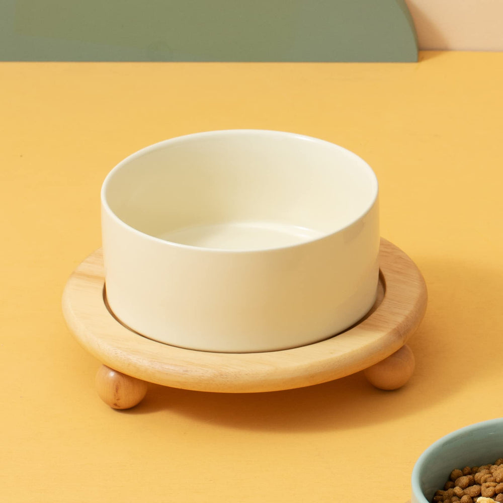 Havniva sturdy ceramic bowl resists tipping during chow time.