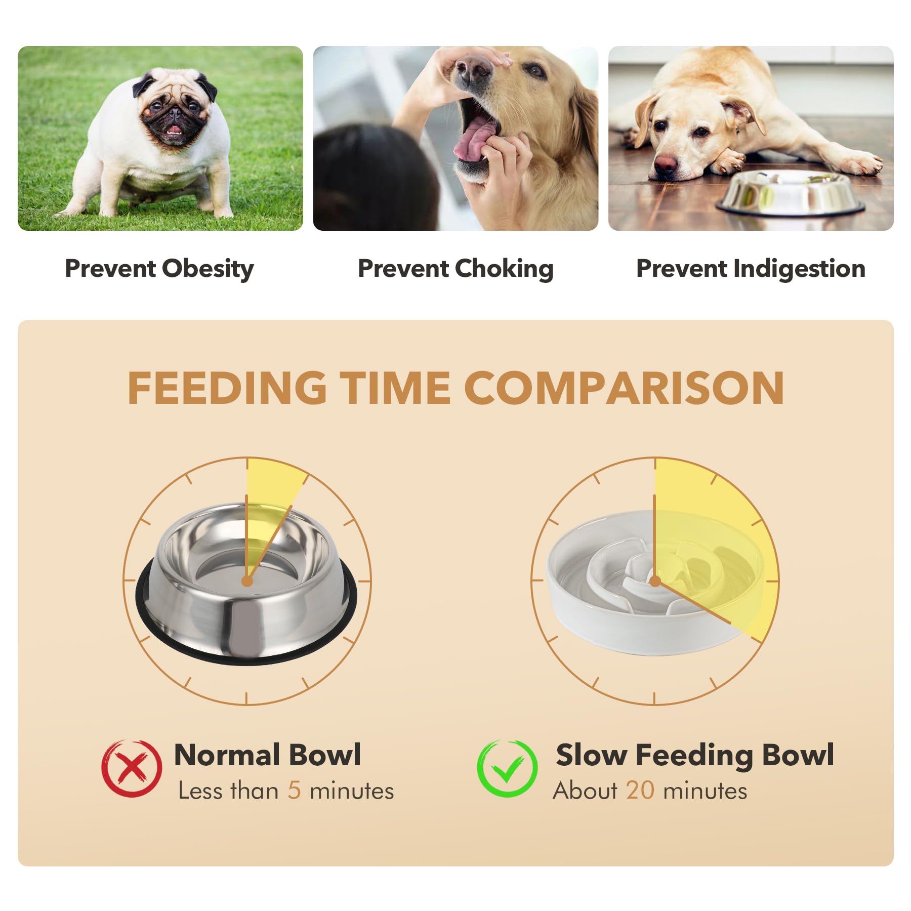 Havniva two bowls in stand showcase dual-bowl setup for larger dogs.