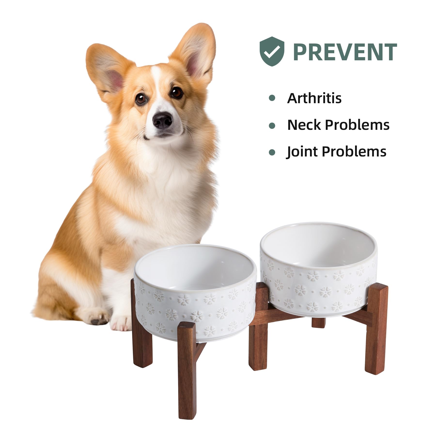 Havniva two-height stand lets you adjust feeding height as needed.